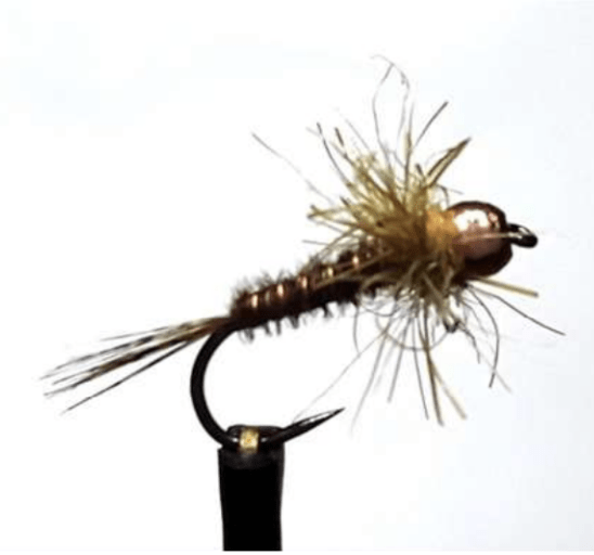 la Pheasant Tail moderne, version revisitée de la nymphe de Frank Sawyer de 1958.