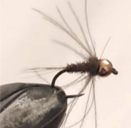 montage mouche club mouche loire forez