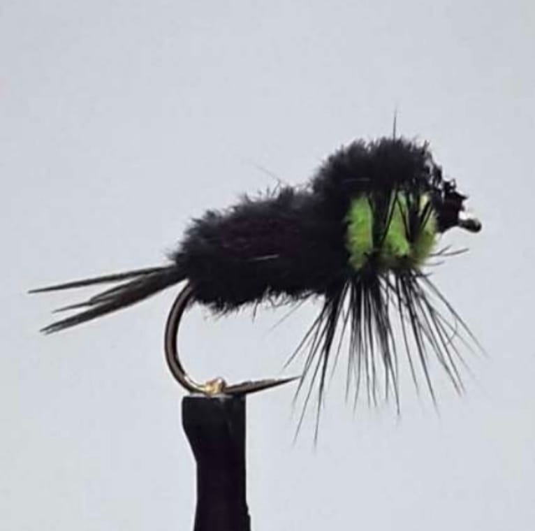 nymphe montana - montage de mouche