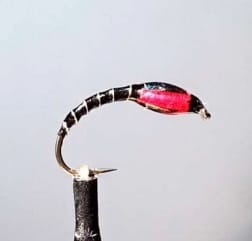 montage mouche chironome perle