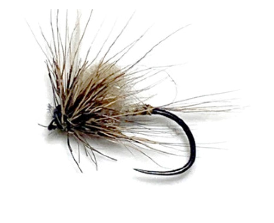 emergente oreille de cheuvreuil