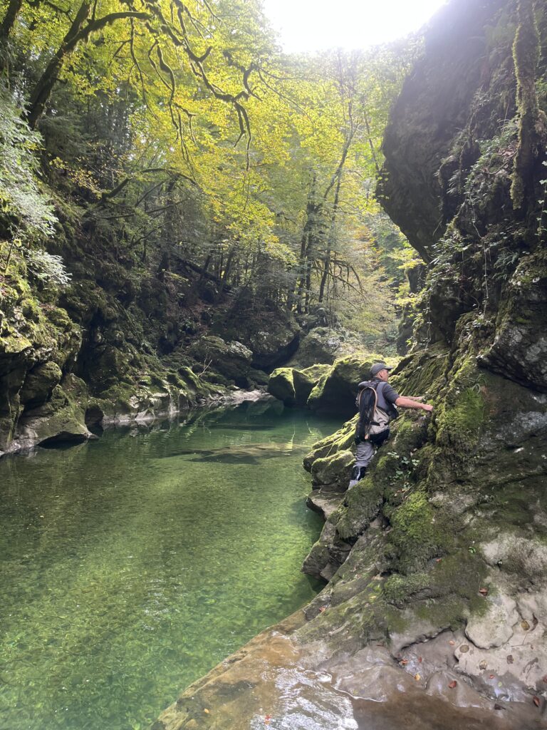 2025 10 03 11 54 12 364