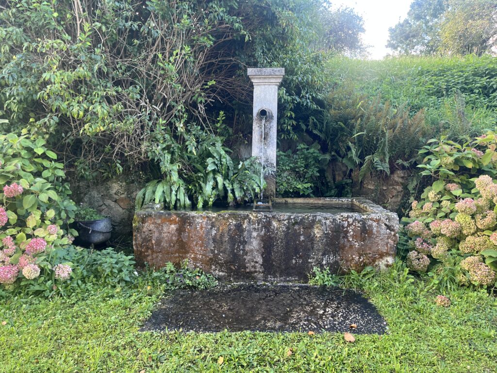 2025 10 04 09 25 26 006