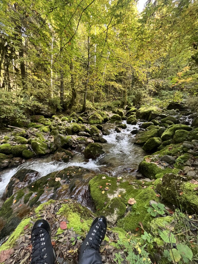 2025 10 04 11 02 49 376