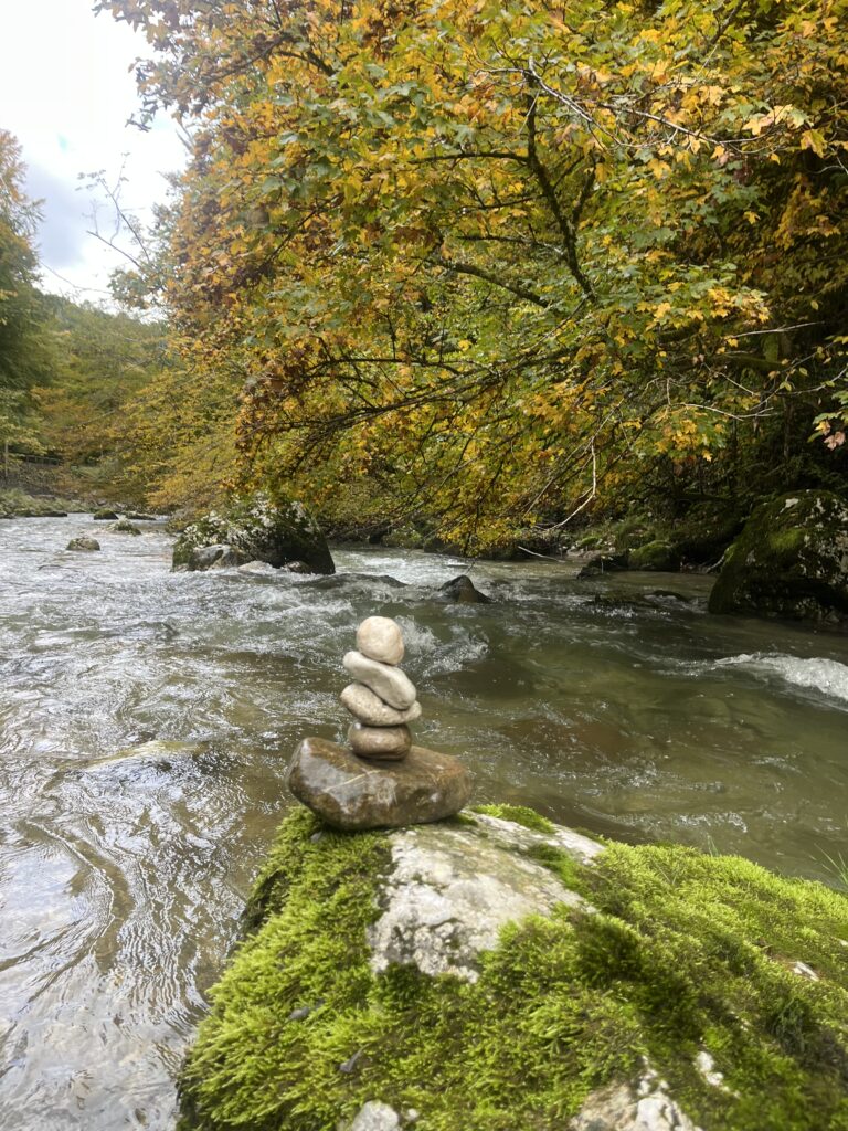 2025 10 05 12 34 47 817