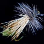 s77 – 3 en 1 – Serge Rollo