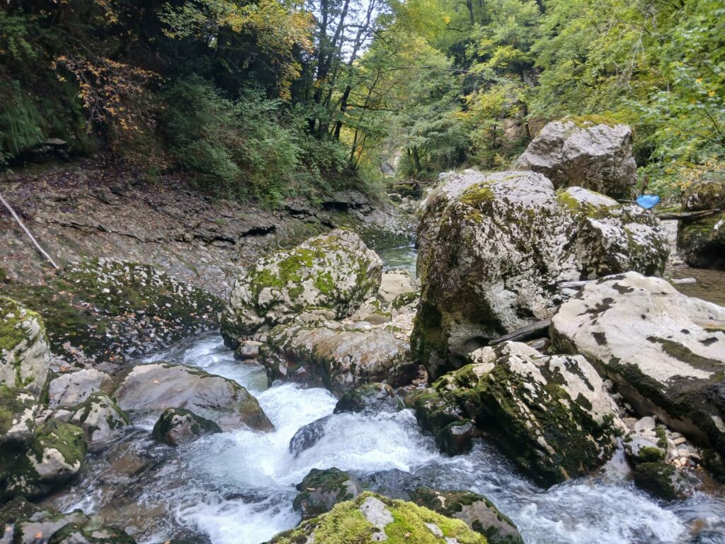 whatsapp image 2025 10 03 at 16.48.26