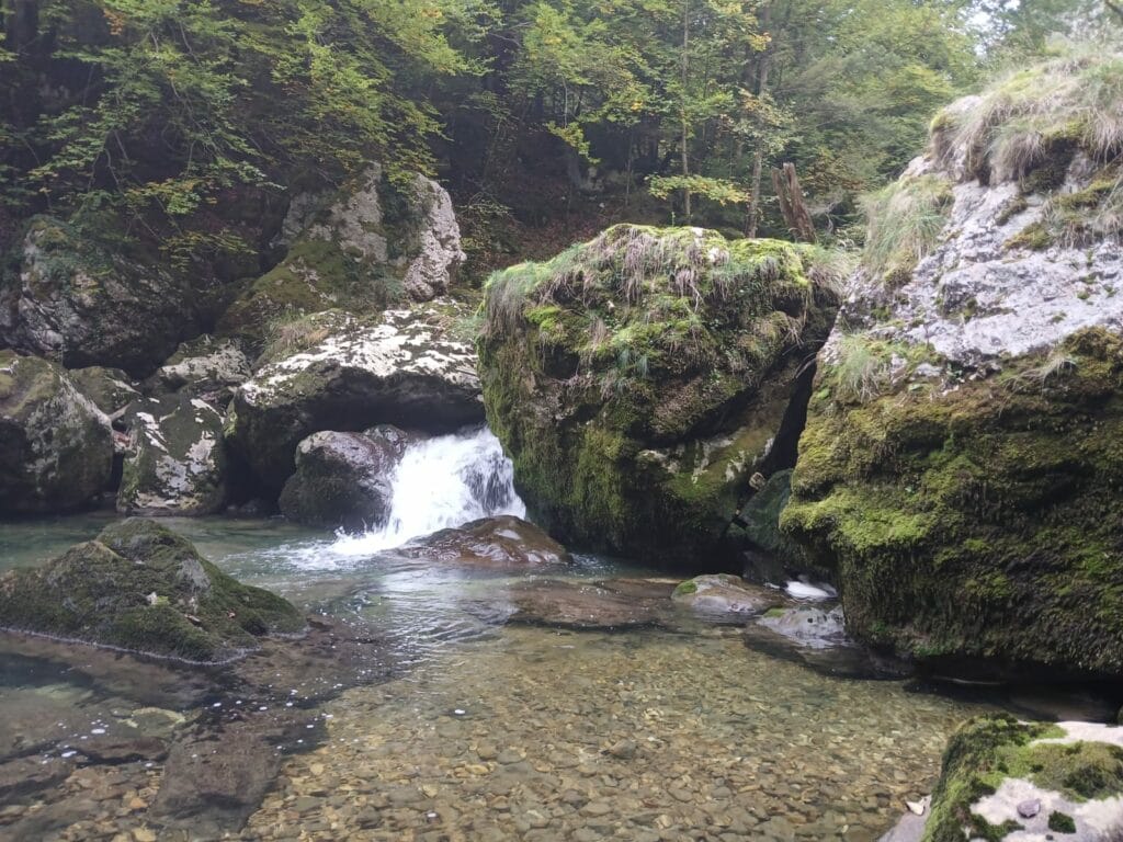 whatsapp image 2025 10 03 at 16.48.38