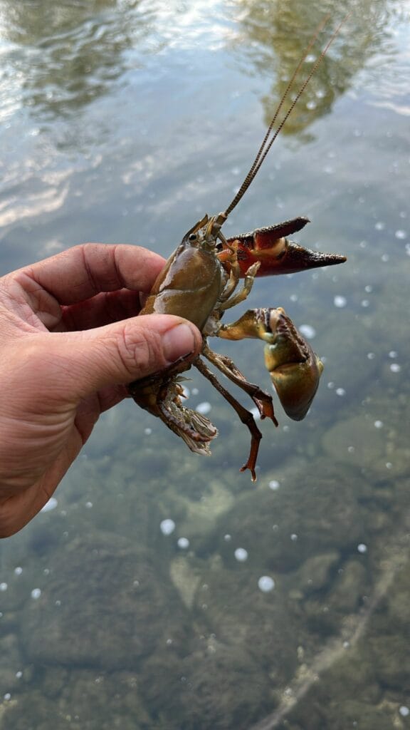 whatsapp image 2025 10 03 at 18.09.27