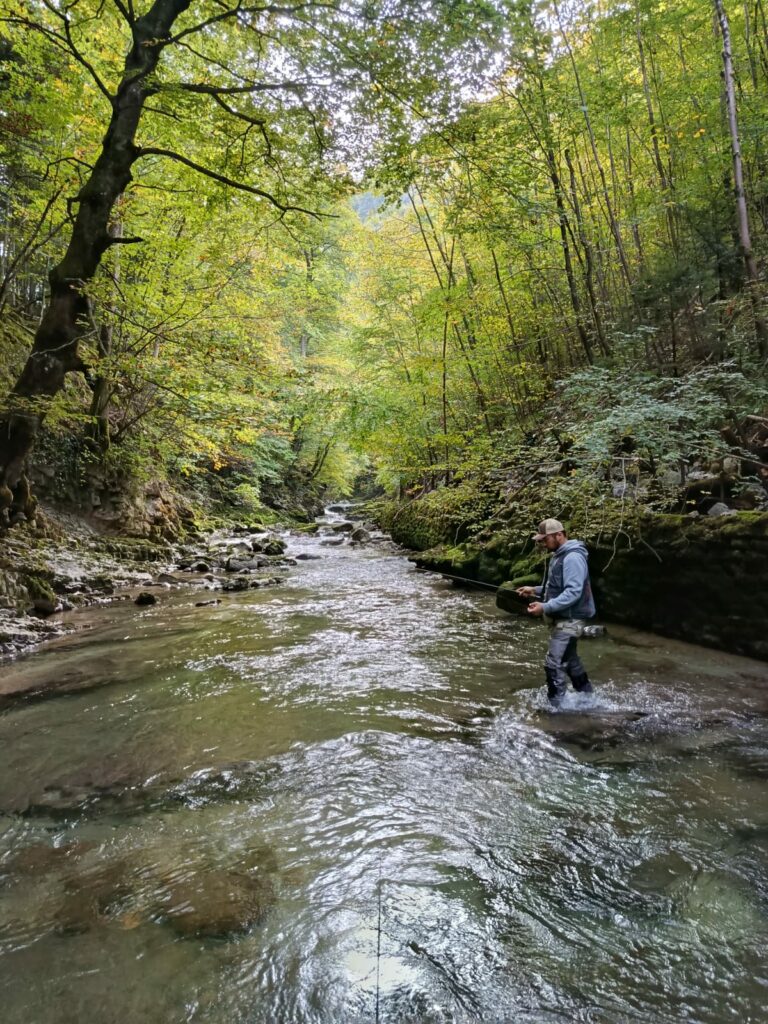 whatsapp image 2025 10 04 at 08.12.24