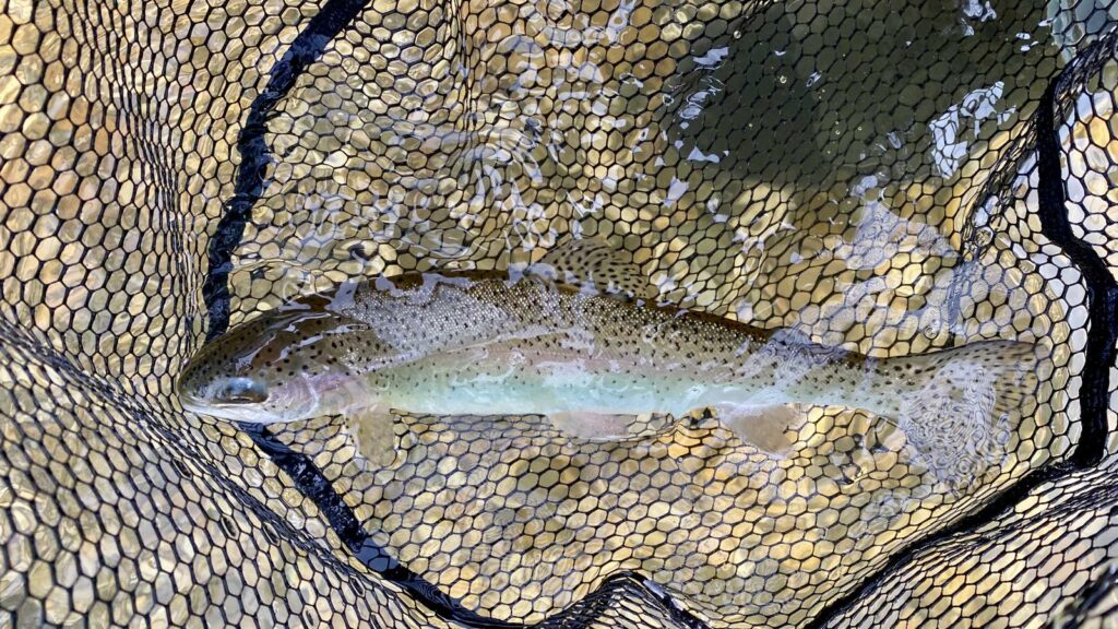 whatsapp image 2025 10 04 at 08.34.42