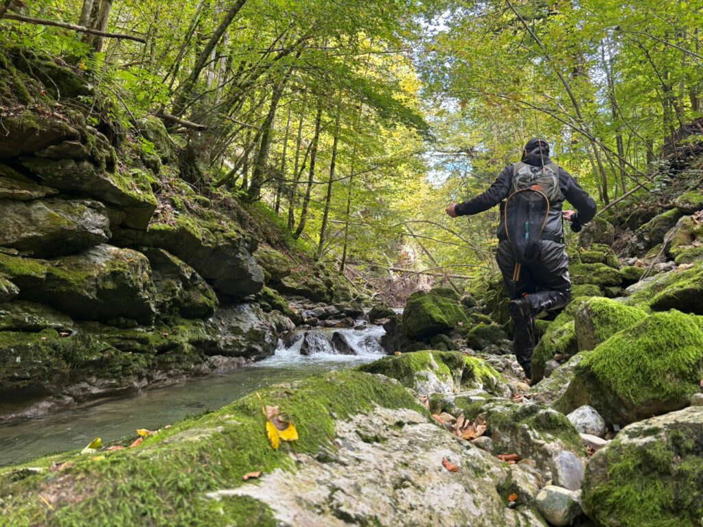 whatsapp image 2025 10 04 at 19.52.37