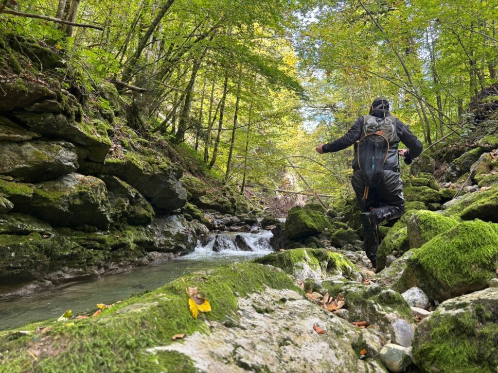 whatsapp image 2025 10 04 at 19.52.37