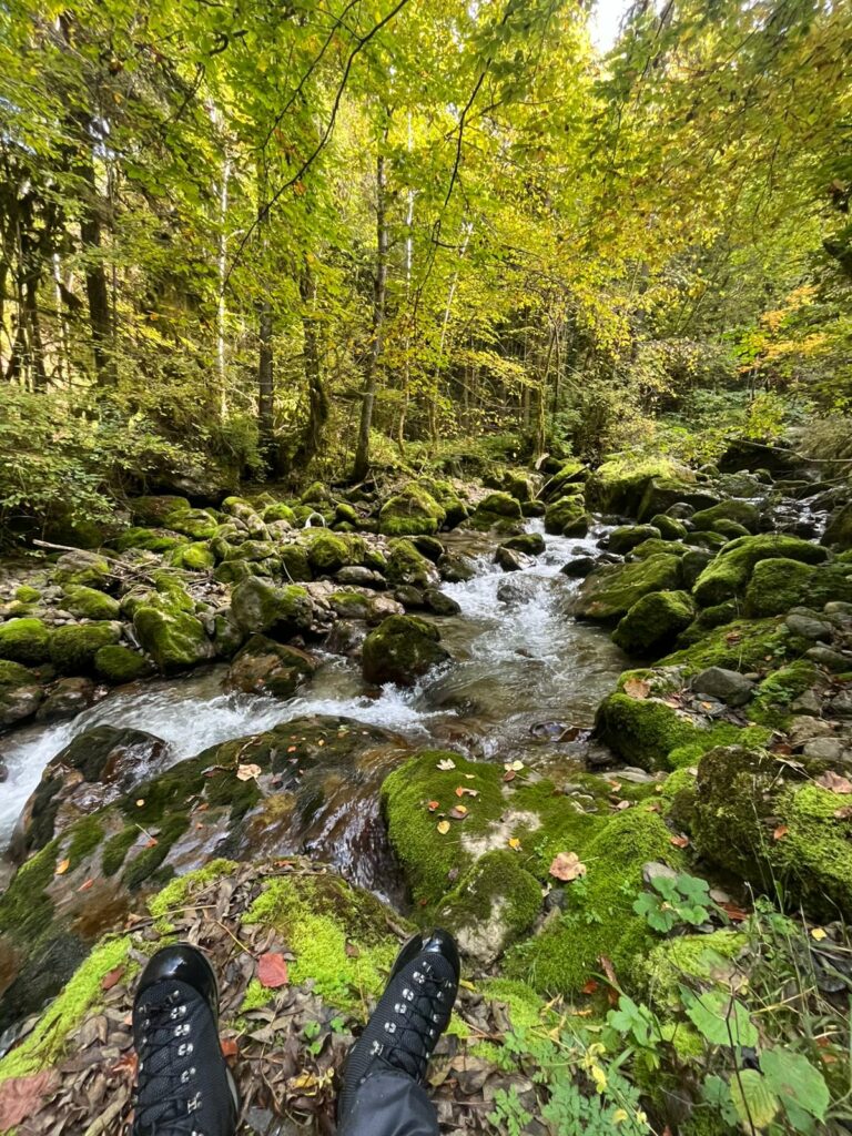 whatsapp image 2025 10 04 at 19.52.57 (1)