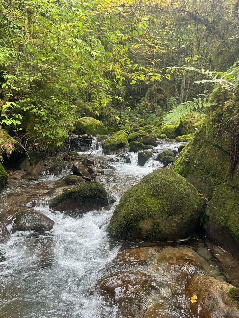 whatsapp image 2025 10 04 at 19.52.57