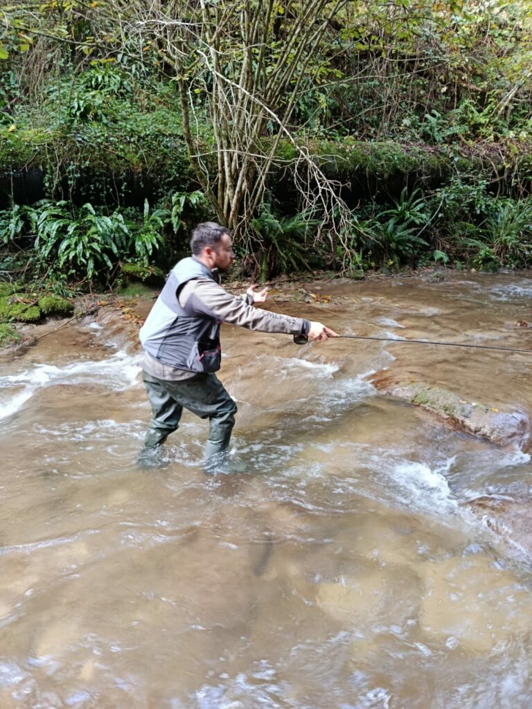 whatsapp image 2025 10 05 at 17.12.54