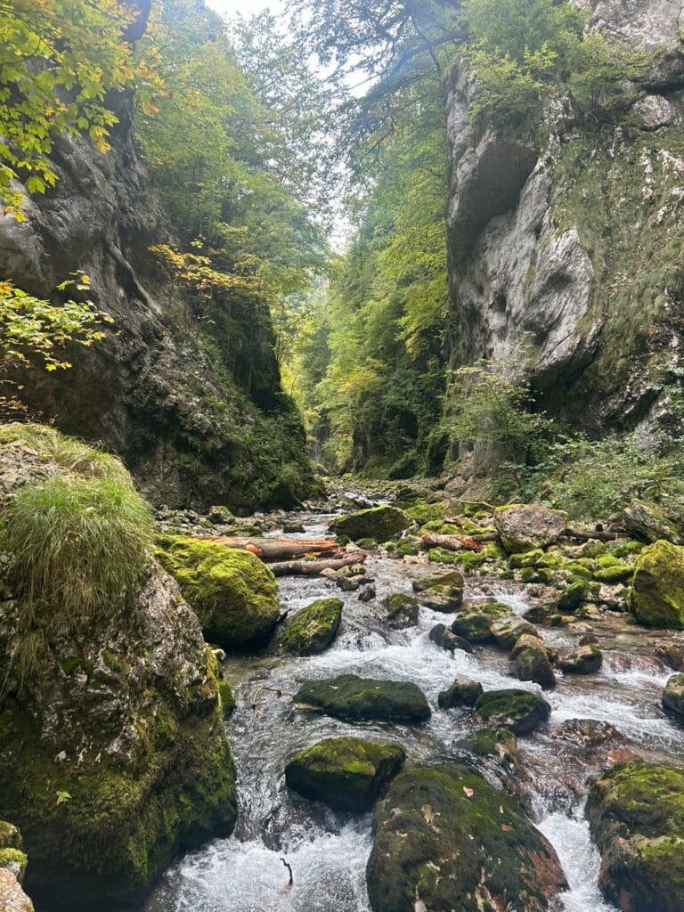 whatsapp image 2025 10 05 at 17.21.19