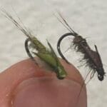 ny31 – Nymphe de Grubica