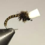 Protégé : e39 – Chiro suspender