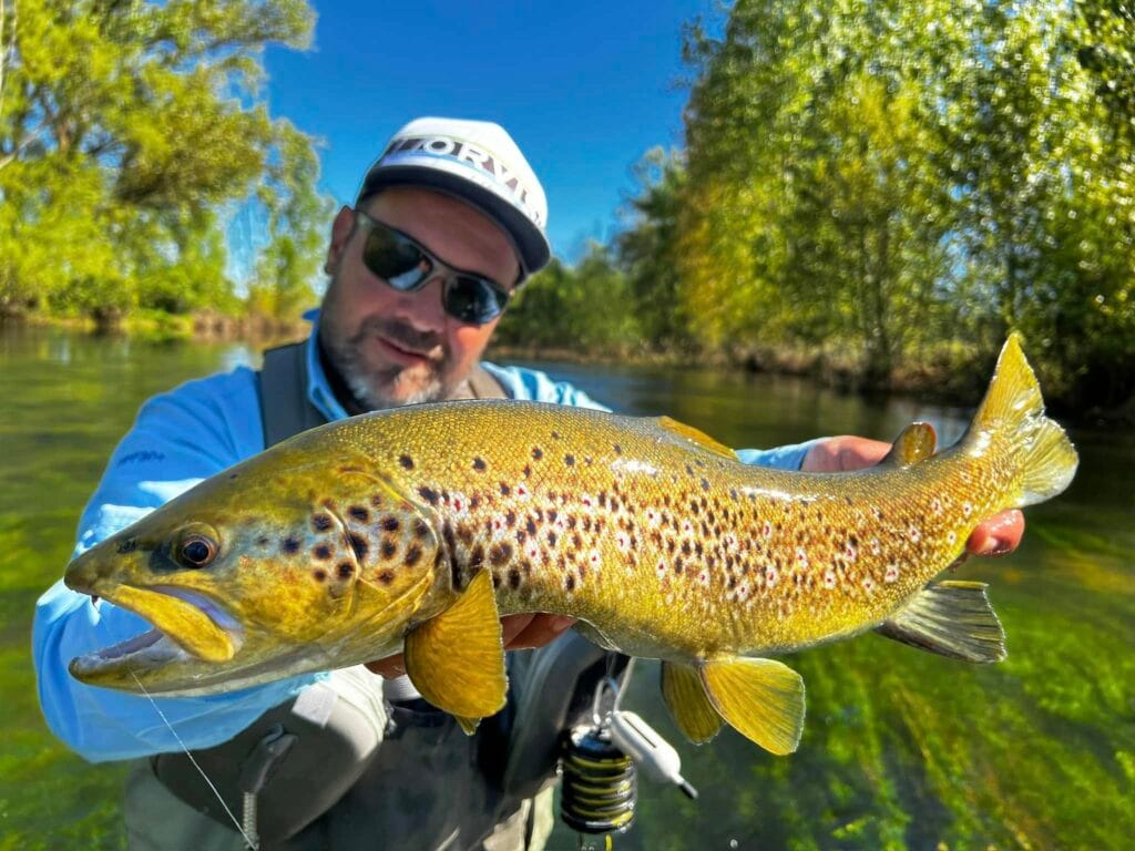 florian estournet la mouche de mai