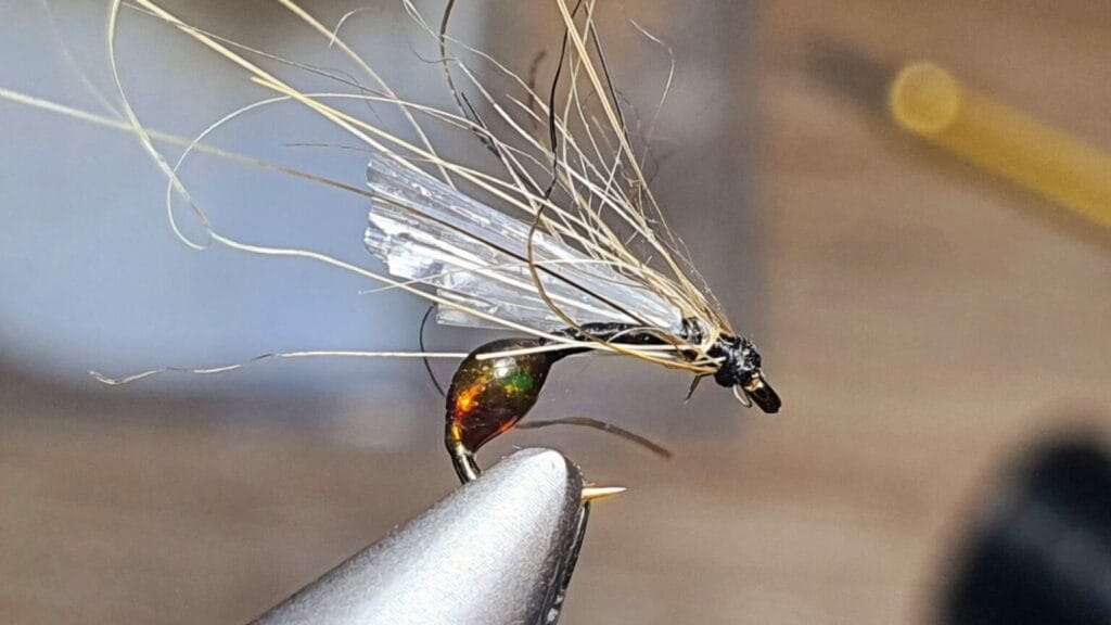 geisha fourmi geisha florian estournet la mouche de mai