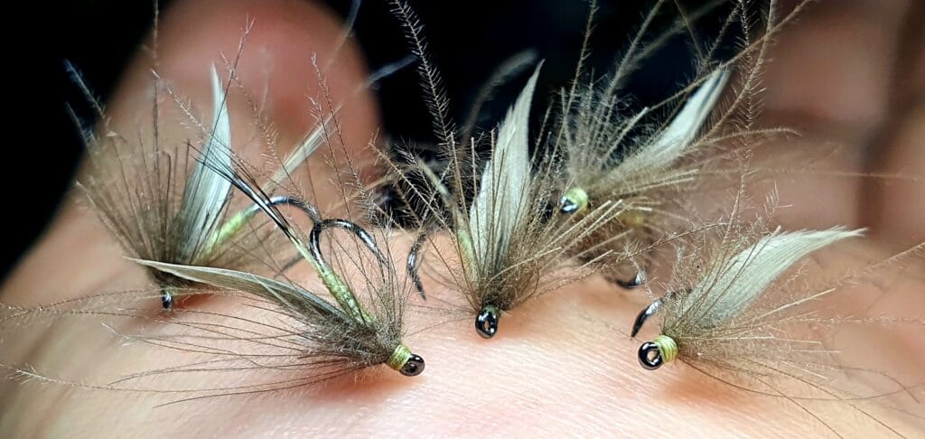 mouches ornanstricho cdc fourmi geisha florian estournet la mouche de mai