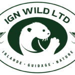 ign wild ltd badge blanc&vert