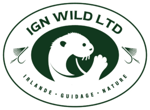 ign wild ltd badge blanc&vert