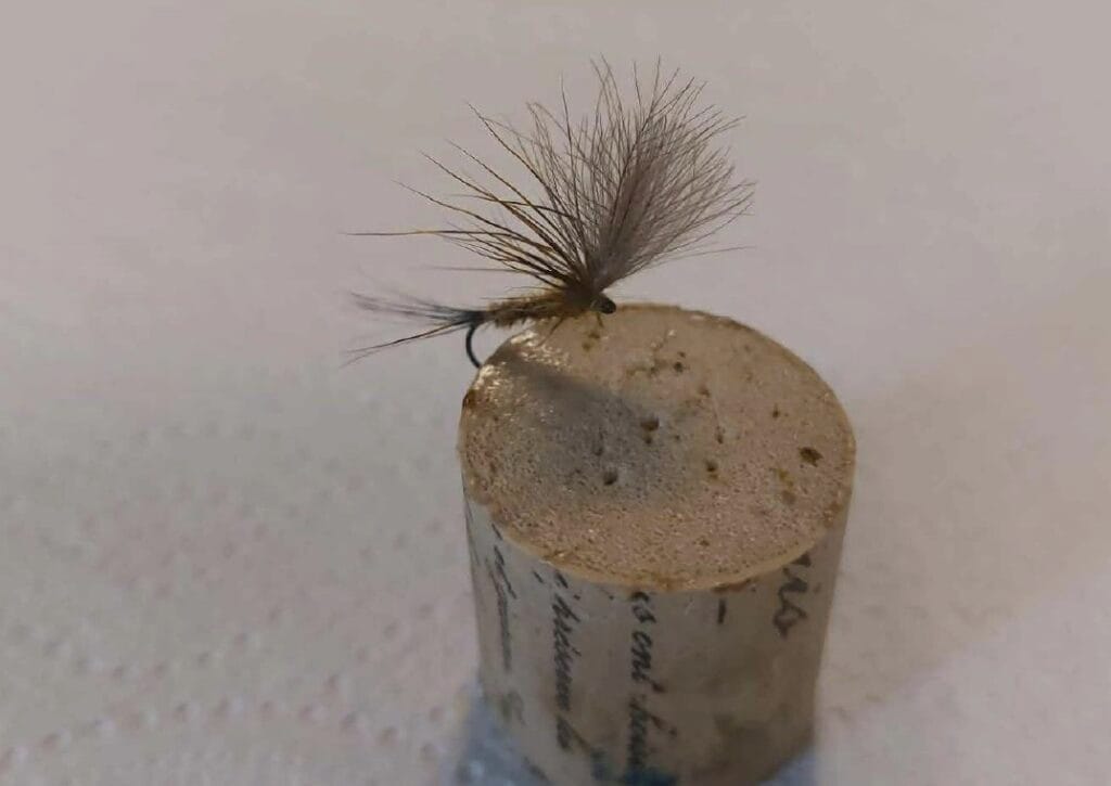 La Sèche "Tout-Terrain"