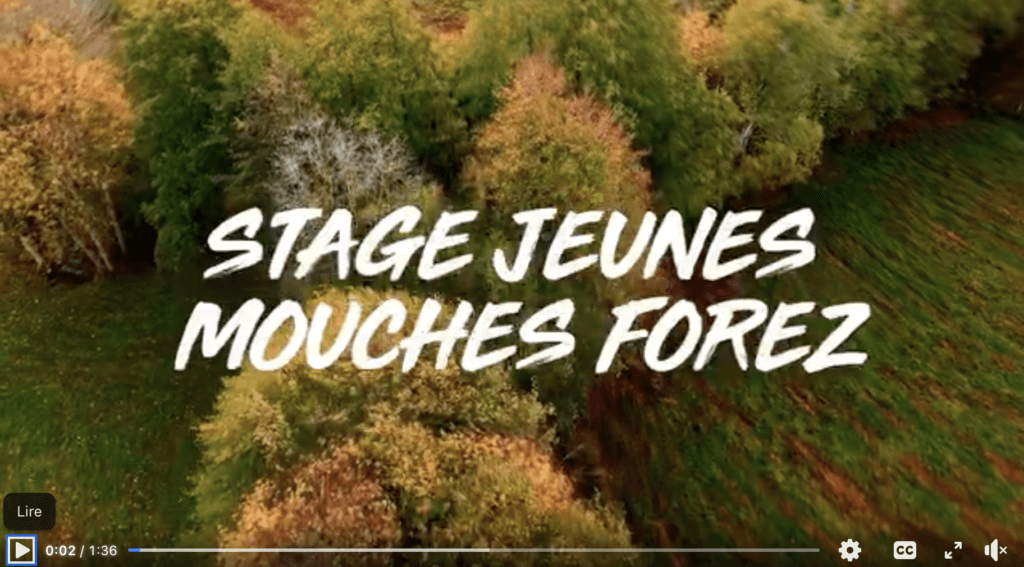 capture d’écran 2026 02 03 à 23.41.46