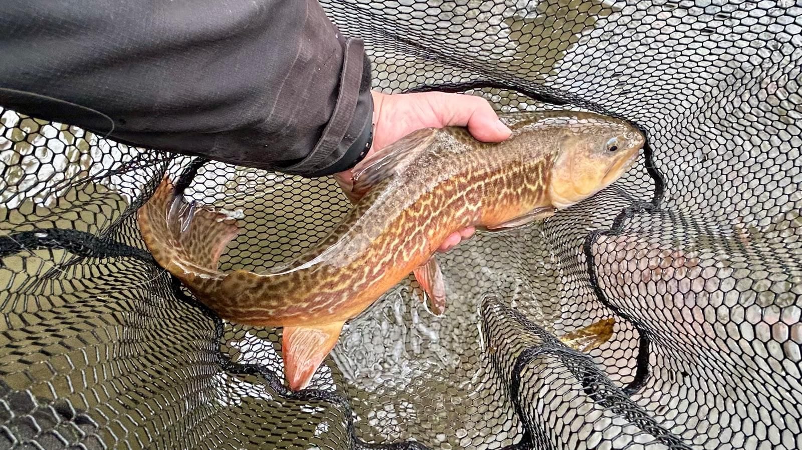 photo 2025 11 19 20 24 22