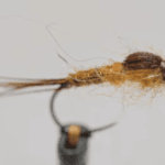 ny32 – Nymphe imitative de mouche de Mai