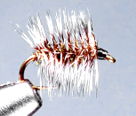 griffiths gnat